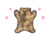Meme Kucing Bucin Couple Cat 12