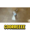 COORREEEE