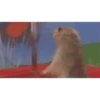 Gif memes 11