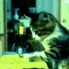 Super funny dogs and cats🐾 14