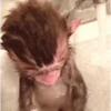 Monos burlones 7