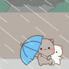 Love peach Mochi cat love  30