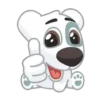 Dog Cute 🐶❤️‍🩹 16