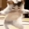 Bailes 10
