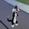 Gato Silvestre 9