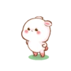 Enojo 23