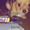 ✨️🎵📋 • FRASES TIKTOK • 📋🎵✨️ 30