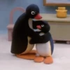Pingu 🐧 16