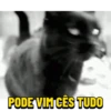 PODE VIM CÊS TUDO
