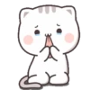 Cat Chan 10