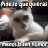 Gatos traviesos🐈🐾🐈‍⬛ 9
