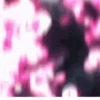 Sae Itoshi 🎥⚽ 15