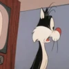 Gato Silvestre 20