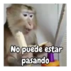 No puede estar pasando