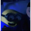 Minions  16