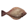 Fish Sticker Tiktok 14