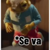 Se va