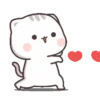 Cat Chan 6