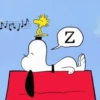 Snoopy Reacciones 🐾⚫⚪ 8