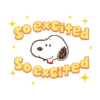 𐂯SNOOPY3੯‧̀͡⬮ 14