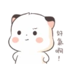 Little cute fatty cat 12