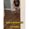 Baby meme 👼 14