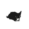 Gato 8