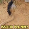 ISSO FOI PRA MIM?