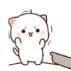 The gomu gomu cat 11