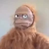 Gif memes 27