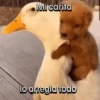 Funny Animal Memes 🐾 11