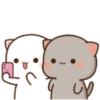 Love peach Mochi cat love  9