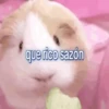 Pozole Pozolito TikTok 16