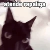 atende rapaliga