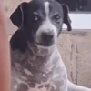 Gif memes 29