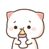Cute Cat Bucin GIF 😸 14