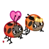 Catarina 1 🐞 11