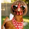 Dance,Gallinas virales TikTok🐔 12