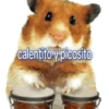 Pozole Pozolito TikTok 14