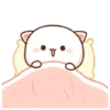 Kucing lucu 9