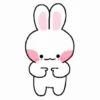 Cute Bunny GIF 🐰 15