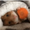 GIFs Bixins com Frio 🥶 11