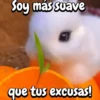 Funny's Rabbit 🥕🐇 7