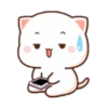 Love peach Mochi cat love  20