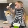 Macaco | Macaquinho 🐒 4