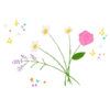 Flower (Bouquet) 26