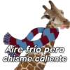 Animalitos funny random🐀🐷🐢 12