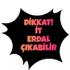 Kurtlar vadisi 18