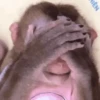 EN