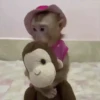 Changos muy Monos 🐒🐵🐒 9